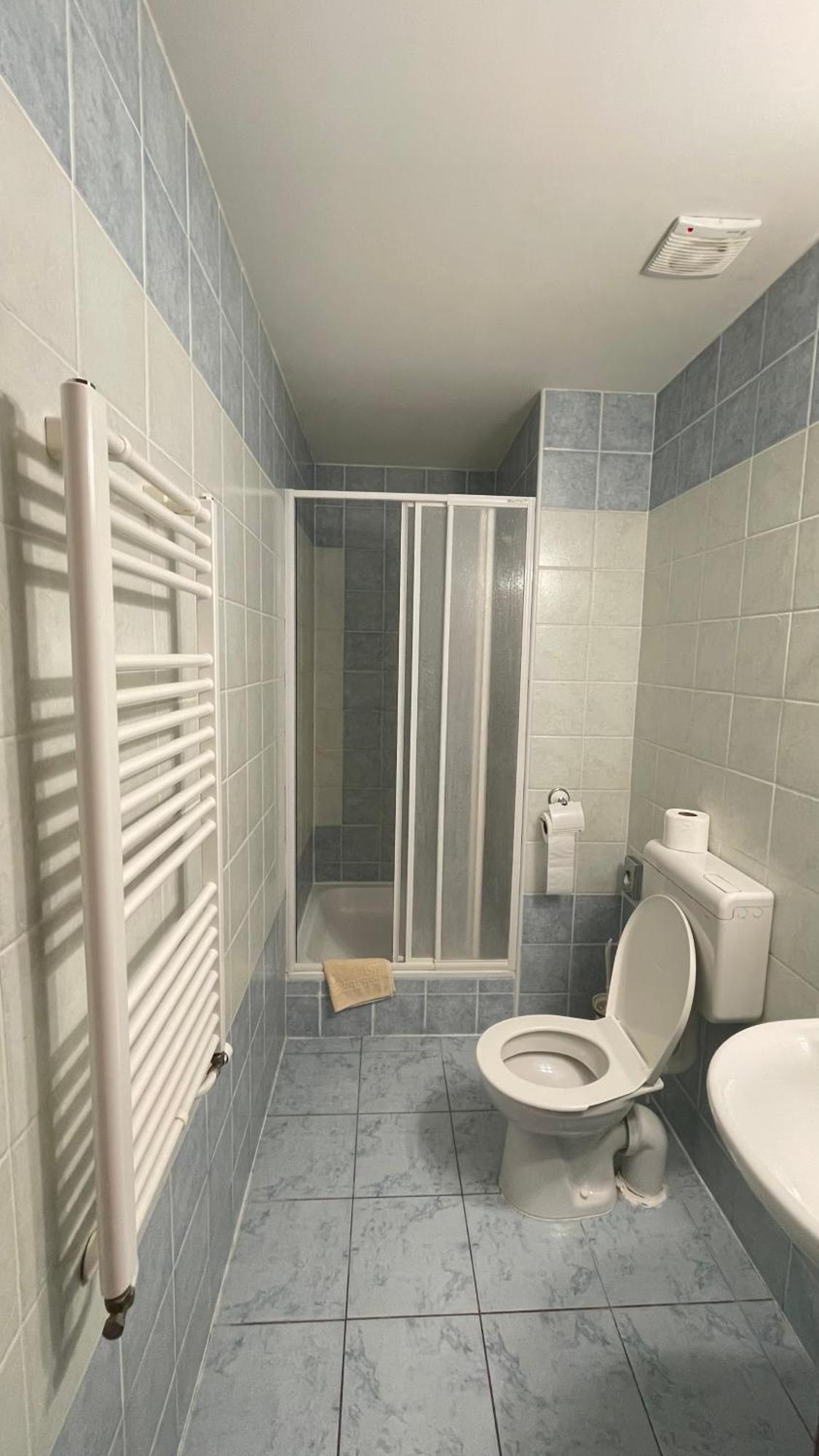 Hotel Cerny Orel Zatec ภายนอก รูปภาพ